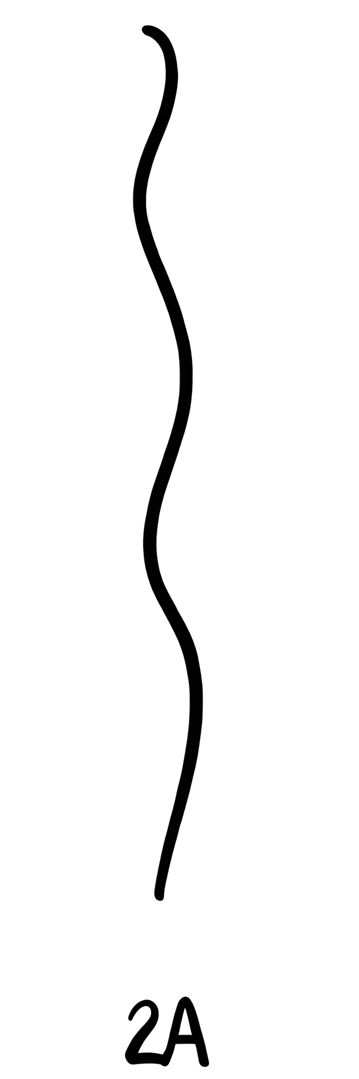 2A 컬 패턴
